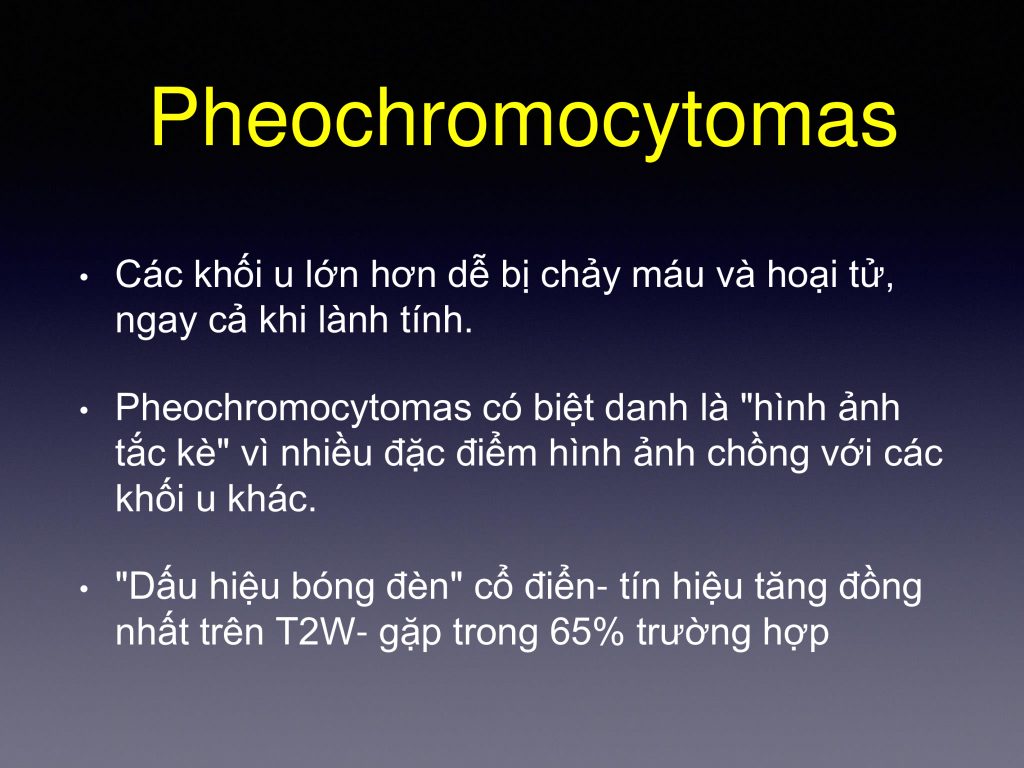 Trung tâm chẩn đoán hình ảnh và can thiệp điện quang – Bệnh viện Đại học Y Hà Nội